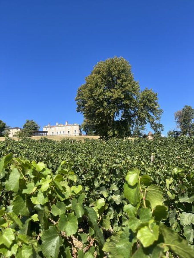 Domaine Bosse Platière – Château de Lachassagne